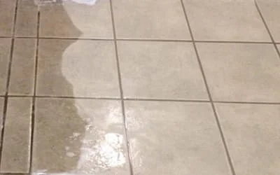 tile-grout-cleaning