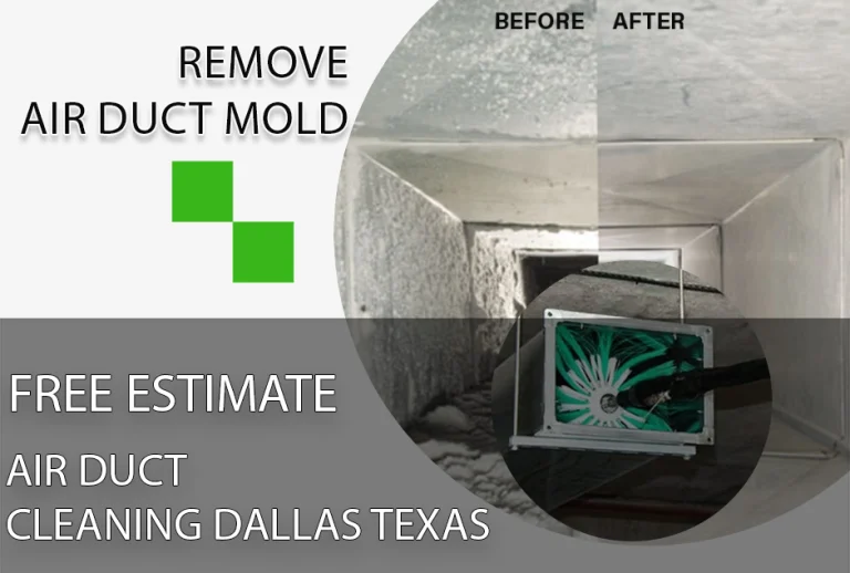 Remove Air Duct Mold