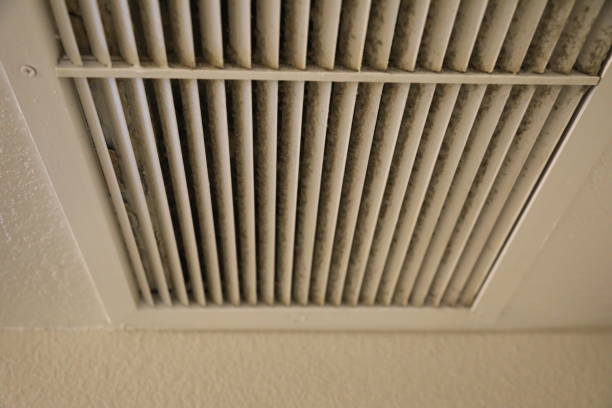 Air Duct Mold Removal